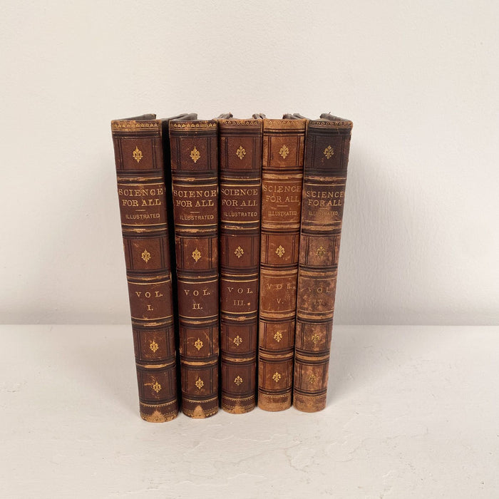 Set of Five Antique Bindings, "Science for All", 19th Century